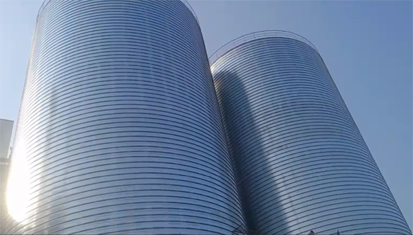 双江2座混凝土高架卷板仓